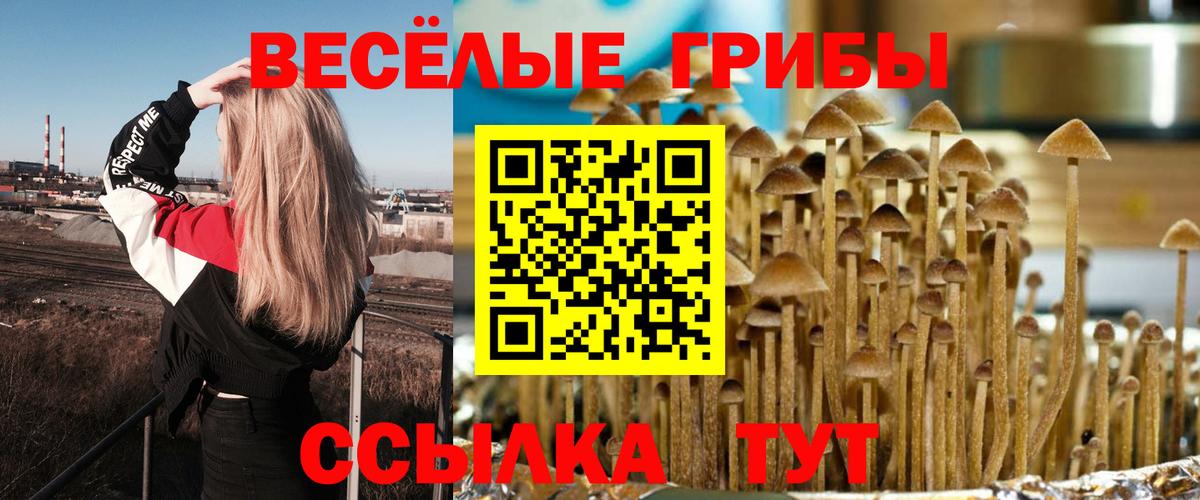 Галлюциногенные грибы прущие грибы  где купить наркотик  Ржев  Вход с VPN 